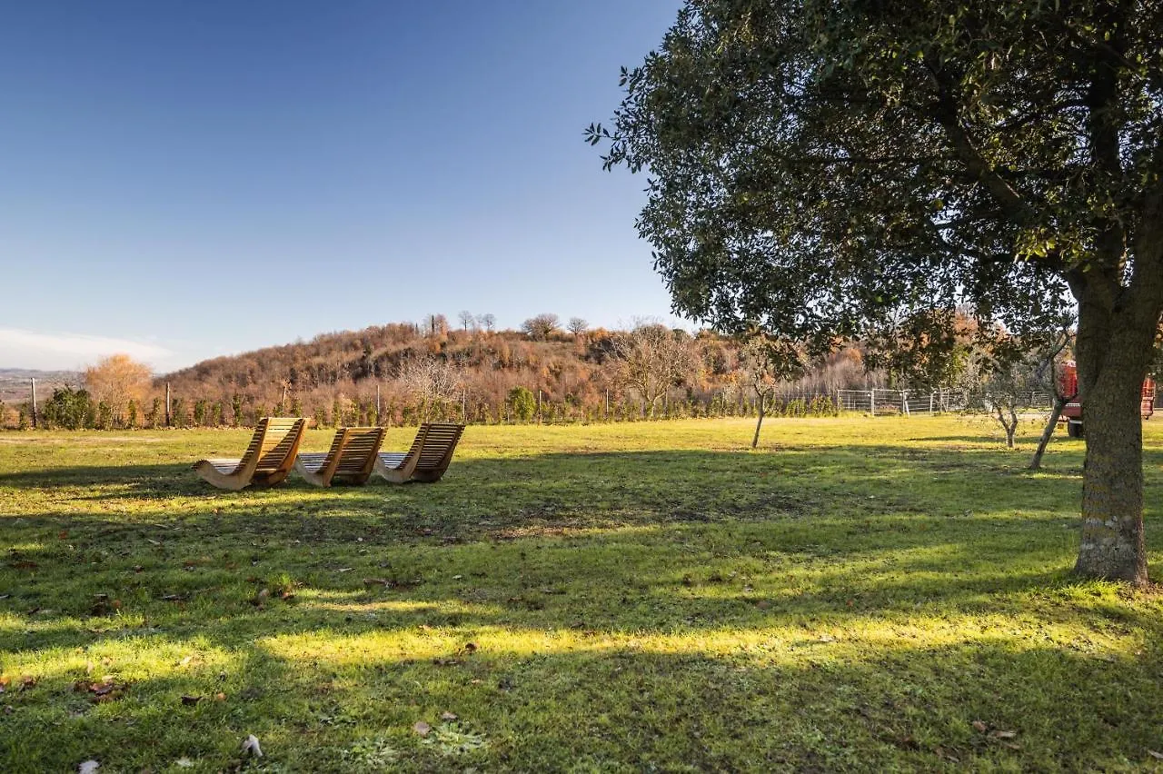 Agriturismo L'Arte Dei Semplici Montalcino